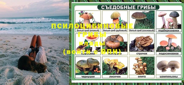 прущая мука Армянск