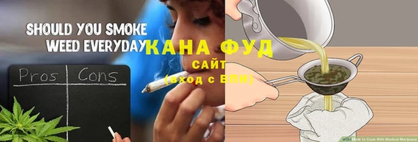 индика Нягань