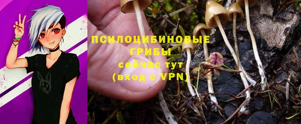соль курить ск Няндома