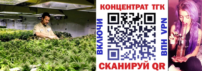 гидра онион  Петухово  ТГК Wax 