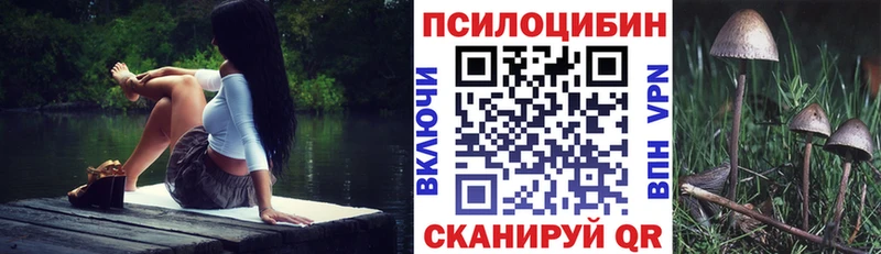 Галлюциногенные грибы Psilocybine cubensis  Петухово 